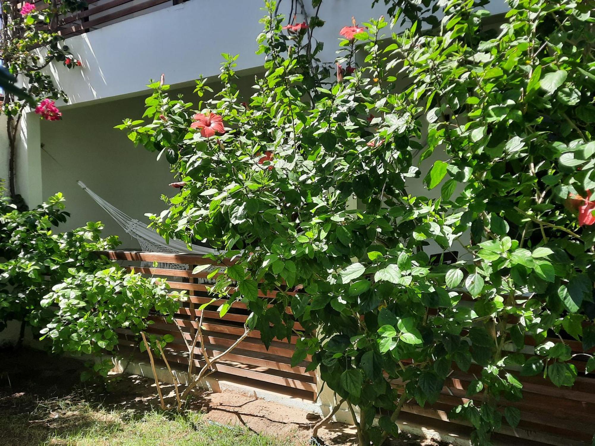 Casa Betti Villa Jijoca de Jericoacoara Exterior foto